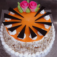 Almond Special  to Rajahmundry