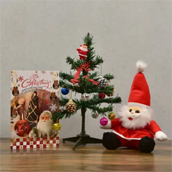 Christmas Hamper to Rajahmundry