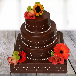 Dazzling Chocolate Cake 5kg  to Rajahmundry