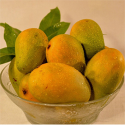 Mangoes rasalu to Rajahmundry