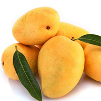 Banginapalli Mangoes to Rajahmundry