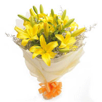 Asiatic Lilies to Rajahmundry