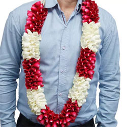 Red and White Flower Garland to Rajahmundry