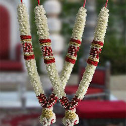 Lily Garlands to Rajahmundry