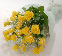 Yellow Beauty to Rajahmundry