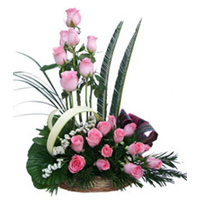 Magic of Pink to Rajahmundry