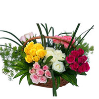 Love Expression to Rajahmundry
