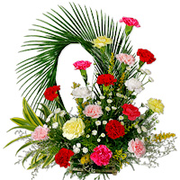 Colorful Carnations to Rajahmundry