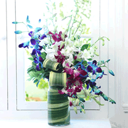 orchids vase to Rajahmundry