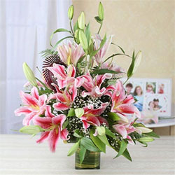 Beautiful 15 Pink Lilies to Rajahmundry