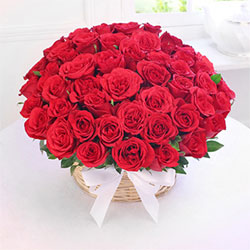 Lovely Love to Rajahmundry