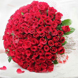 300 Gorgeous Roses  to Rajahmundry