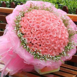 Bunch of 300 Pink Roses to Rajahmundry
