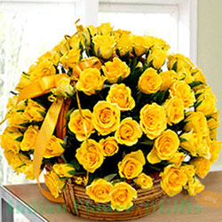 Yellow Delight to Rajahmundry
