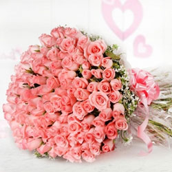 100 pink roses  to Rajahmundry
