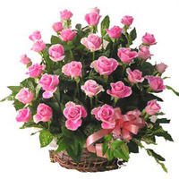 Pink Beauty to Rajahmundry