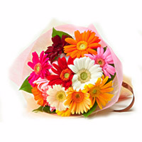 Multicolour Gerberas to Rajahmundry