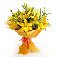 Asiatic Lilies to Rajahmundry