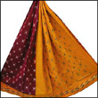 Pochampally Anamika Cotton Saree to Rajahmundry