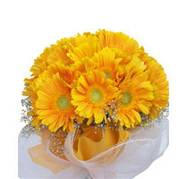 24 yellow gerbers bunch  to Rajahmundry
