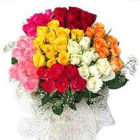 BEAUTIFUL 50 MIX ROSES  to Rajahmundry
