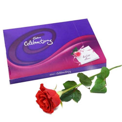 Celebration box  to Rajahmundry