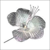 Silver Hibiscus to Rajahmundry