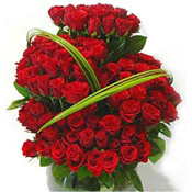 Red Roses to Rajahmundry