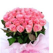 Pink roses bunch to Rajahmundry