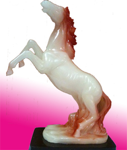 Jumping Horse to Rajahmundry