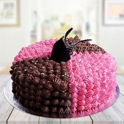 Choco Truffle  to Rajahmundry