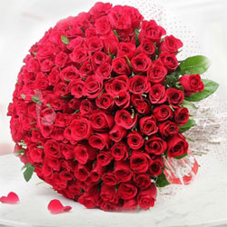 Gorgeous Roses to Rajahmundry