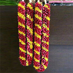 Red and Yellow Roses to Rajahmundry